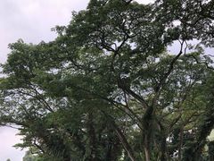 -新加坡总统府