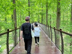 -黄海国家森林公园