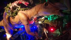 -恐龙探索乐园(磁器口店)