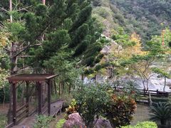 -太鲁阁公园