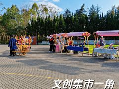 -上海海湾国家森林公园