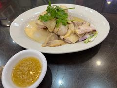 -红星光发煲仔饭(文海店)