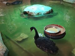 -zoonana室内动物园(东方福来德店)