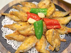 -有腥气私房菜·寻味顺德