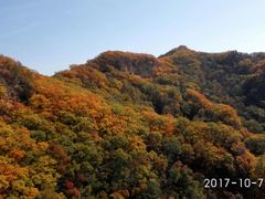 -天女山森林公园