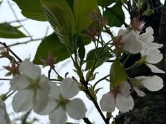 -兰亭风景区