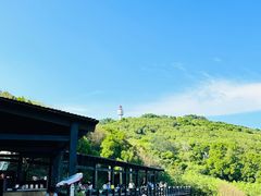 -涠洲岛火山国家地质公园