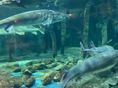 -华夏文旅海洋公园