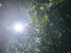 -贵阳市花溪国家城市湿地公园