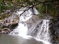 -银瓶嘴森林公园