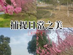 -南湖湿地公园
