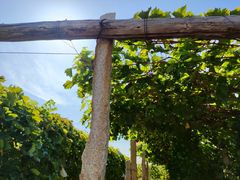 -大泽山风景名胜区