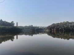 -三水森林公园