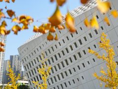 -南京国际青年文化中心