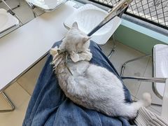 -怪兽屋·羊驼·猫咖·狗咖(俊华广场店)