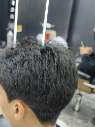 -藤野造型