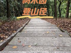-中山市树木园