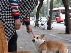 -荥经棒棒鸡(钢管厂五区店)