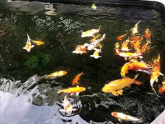 -华庭苑农家乐(旺山店)