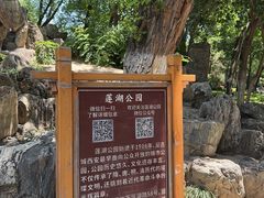 -莲湖公园