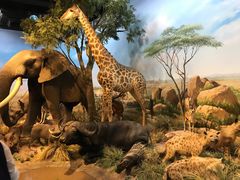 -陕西自然博物馆