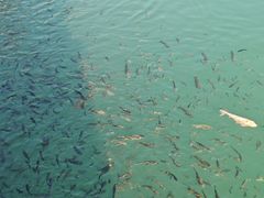 -水濂山森林公园