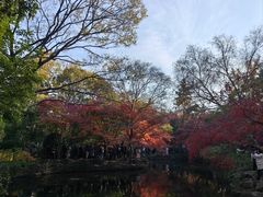 -秋霞圃