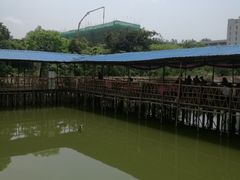 -邹记·美食(斗门店)