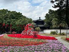 -荔湾湖公园