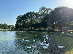 -Club Med地中海俱乐部·桂林度假村