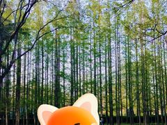 -汇泉广场