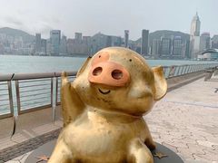 -星光大道