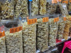 -大湾区中央湿地公园-十九涌