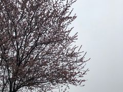 -杭州城北体育公园