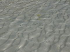 -白沙滩