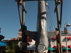 -奥兰多环球影城