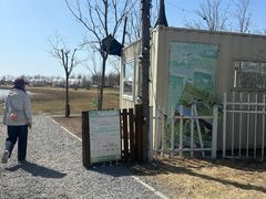 -天津东丽湖风景区