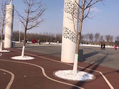 -丁香湖公园