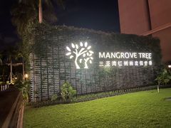 -三亚湾红树林度假世界(木棉酒店)