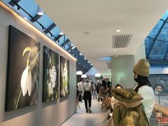 -奈雪的茶(赛格店)
