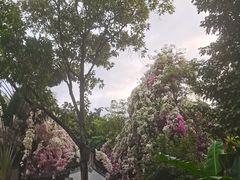 -深圳国际园林花卉博览园