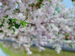 -元大都城垣遗址公园