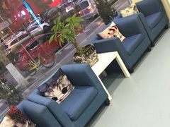 -瑞鹏宠物医院·爱宠堂·骨外专科(西荷分院)