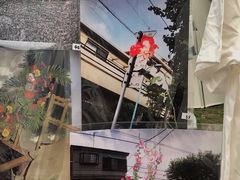 -杭州植物园