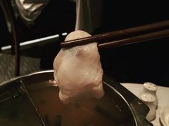 -食为先(Shark Fin)
