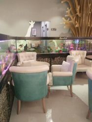 -可爱多国际儿童摄影会馆(龙泉店)