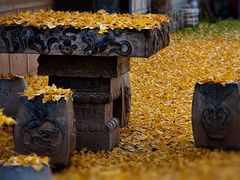 -南通濠河风景名胜区