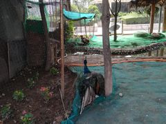 -陕西自然博物馆