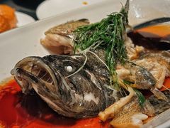 清蒸老虎斑-徐记海鲜·宴会(大唐西市|丰庆店)