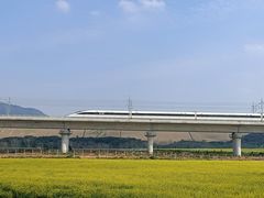 -光明小镇欢乐田园